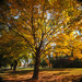 Colors of Autumn 6 by loweygrace
