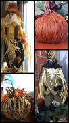 21st Oct 2015 - Scarecrows and Pumpkins