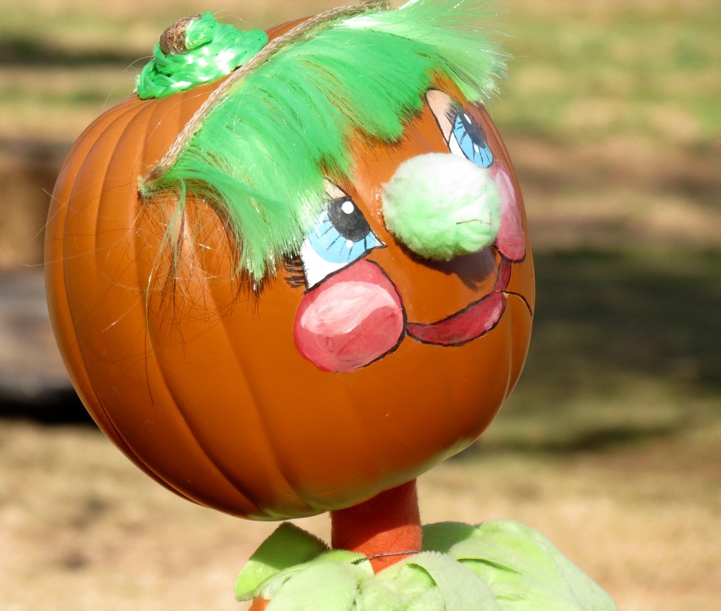 Pumpkin Head by grammyn