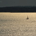 Solitary Sailboat by kareenking