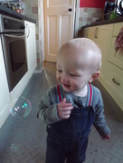 22nd Oct 2015 - Bubble Fascination