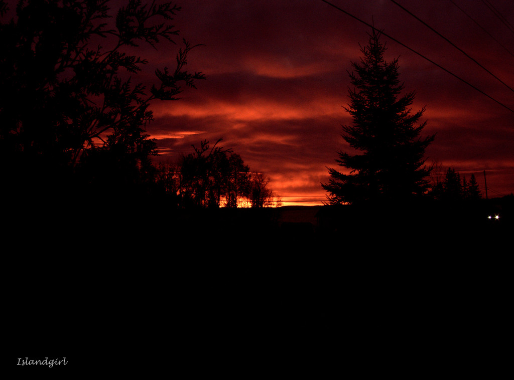 Red Sky in the morning   by radiogirl