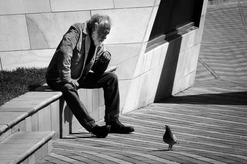 Old Man and a Bird by yaorenliu