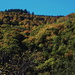 Autumn colours on the Pic d'Aurelle by laroque