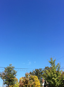 22nd Oct 2015 - Blue Blue Skies