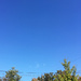 Blue Blue Skies by yogiw