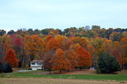 22nd Oct 2015 - Autumn Colors Are Peaking