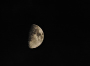 23rd Oct 2015 - ~Moon~