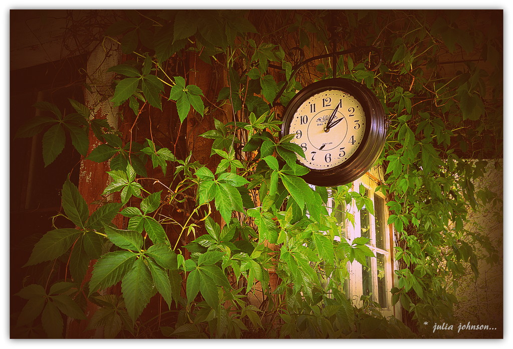 The garden shed.. Time in the Garden... by julzmaioro