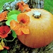 Autumn Orange by wendyfrost