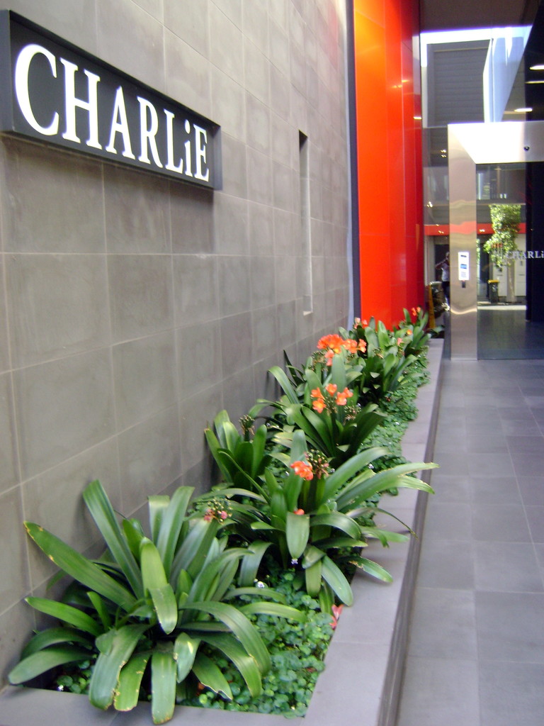 Charlie apartments by marguerita