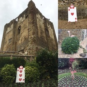 24th Oct 2015 - Guildford Castle