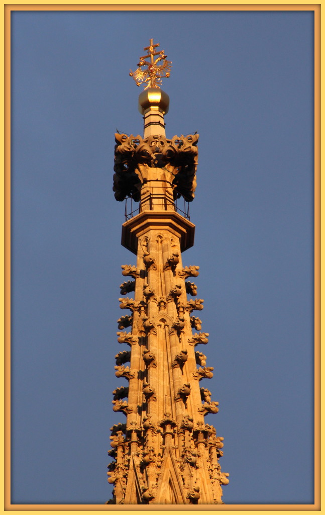 Spire of St Stephen's cathedral, Vienna by busylady