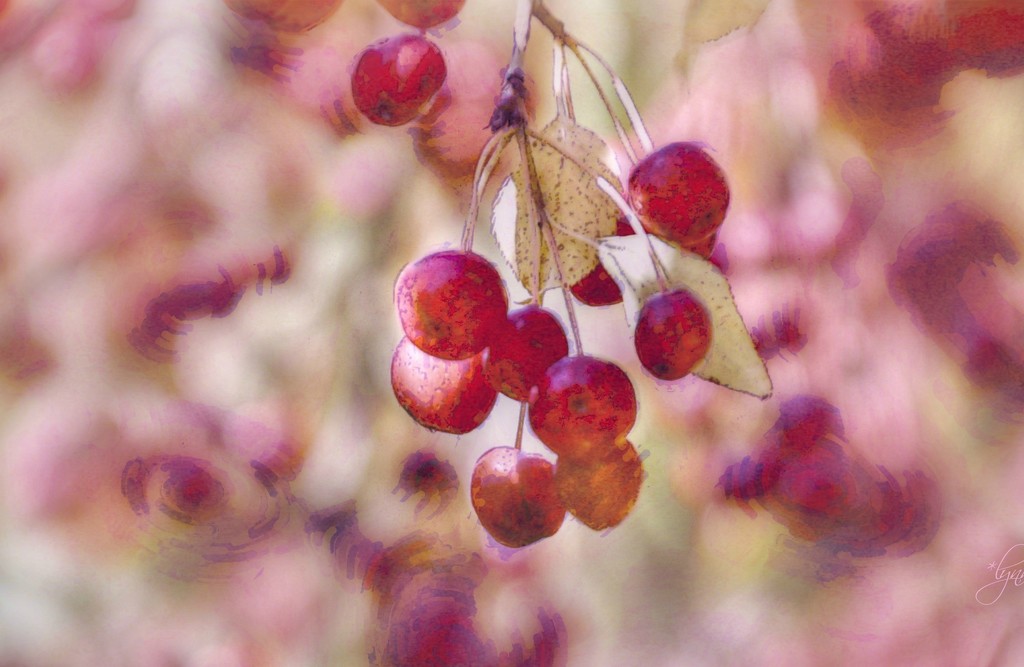 Fruits of Fall by lynnz