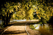 24th Oct 2015 - Fall Path