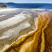 The West Thumb Geyser Shoreline by pdulis