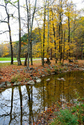 25th Oct 2015 - Fall reflections