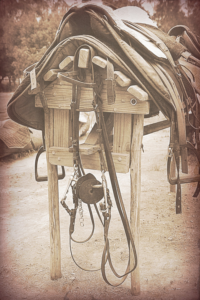 Saddle and Bridle by salza