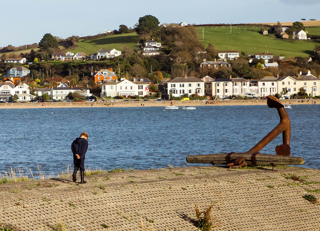 25th October 2015     - Across the water to Instow by pamknowler