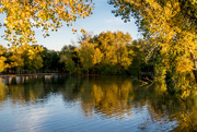 25th Oct 2015 - Golden Hour Pond