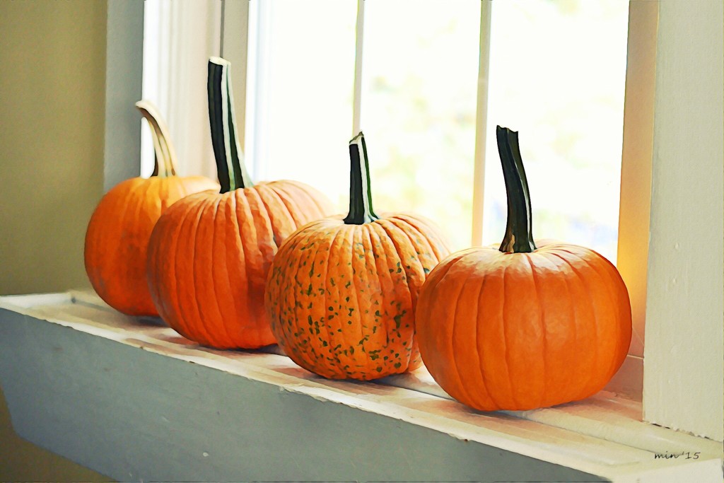 Pumpkins on the Windowsill by mhei