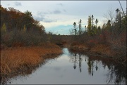 24th Oct 2015 - The Creek in Tannersville Bog