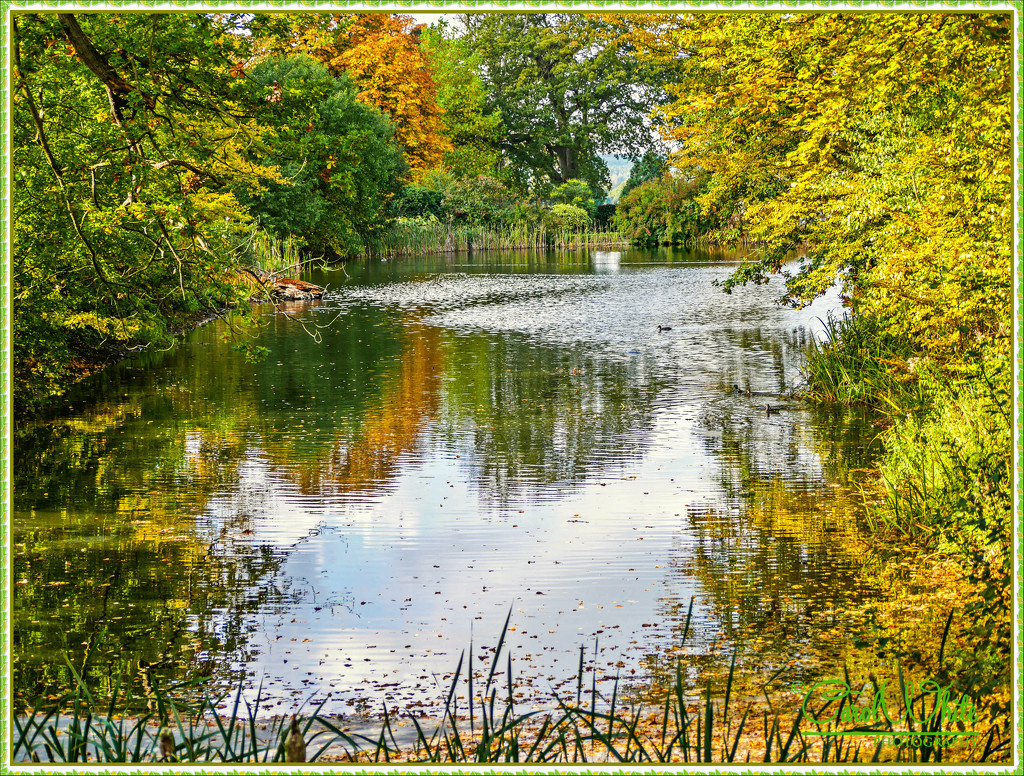 Camellia Lake, Woburn Abbey Gardens by carolmw