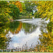 Camellia Lake, Woburn Abbey Gardens by carolmw