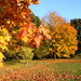 Autumn glory by busylady