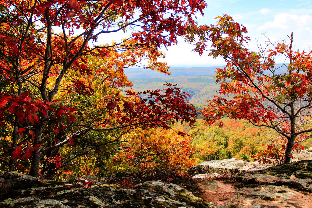 Fall Has Arrived in the Ozarks by milaniet