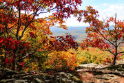 26th Oct 2015 - Fall Has Arrived in the Ozarks