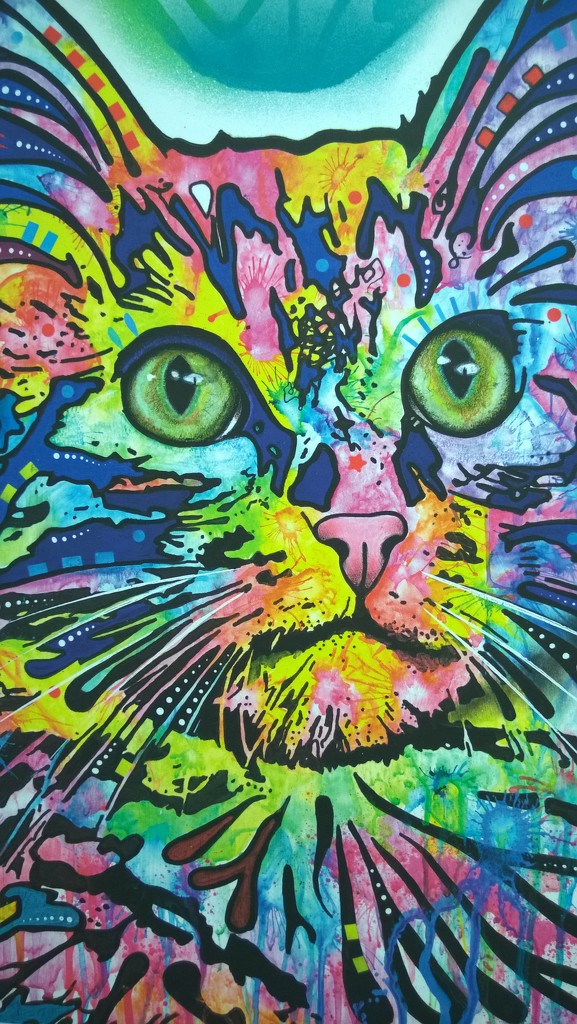 Colorful Cat Art by scoobylou