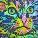 Colorful Cat Art by scoobylou