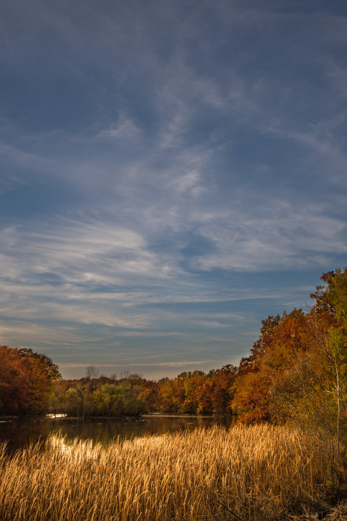 fall shot! by jackies365