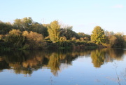 26th Oct 2015 - River Trent at Wilford
