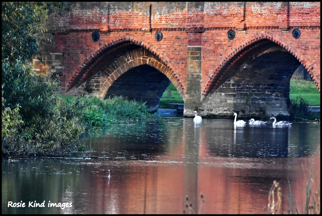 Water under the bridge by rosiekind