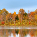 The Fleeting Colors Of Fall by lesip