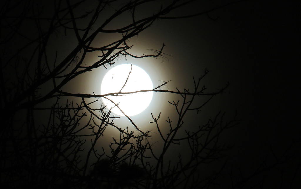 27-10-15 The full moon, just a bit past. by hellie