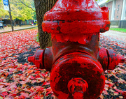 27th Oct 2015 - Red hydrant