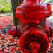 Red hydrant by jae_at_wits_end
