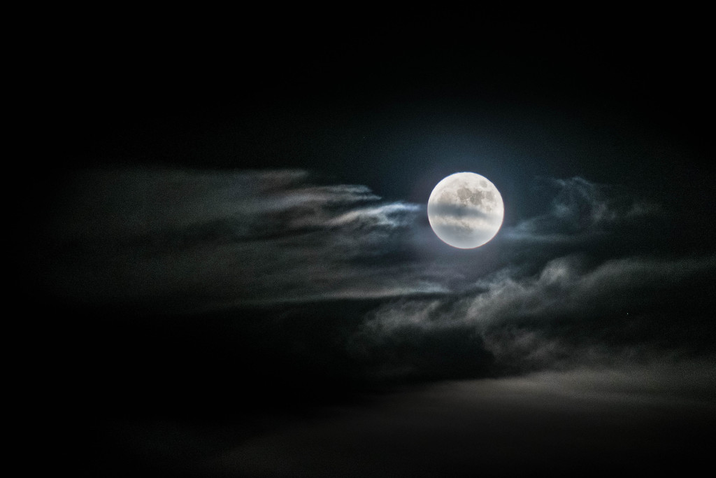 October Full Moon by ckwiseman