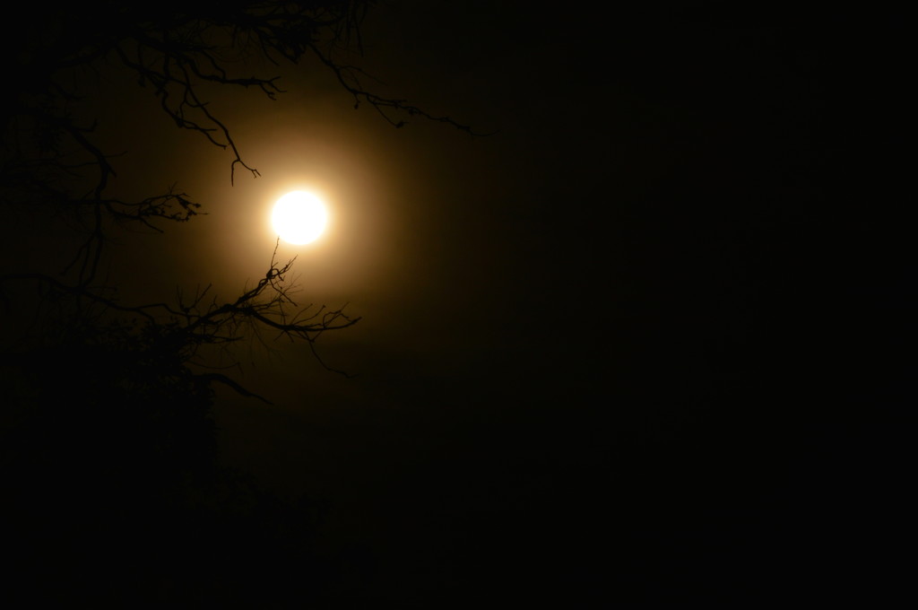 Spooky Moon by nickspicsnz