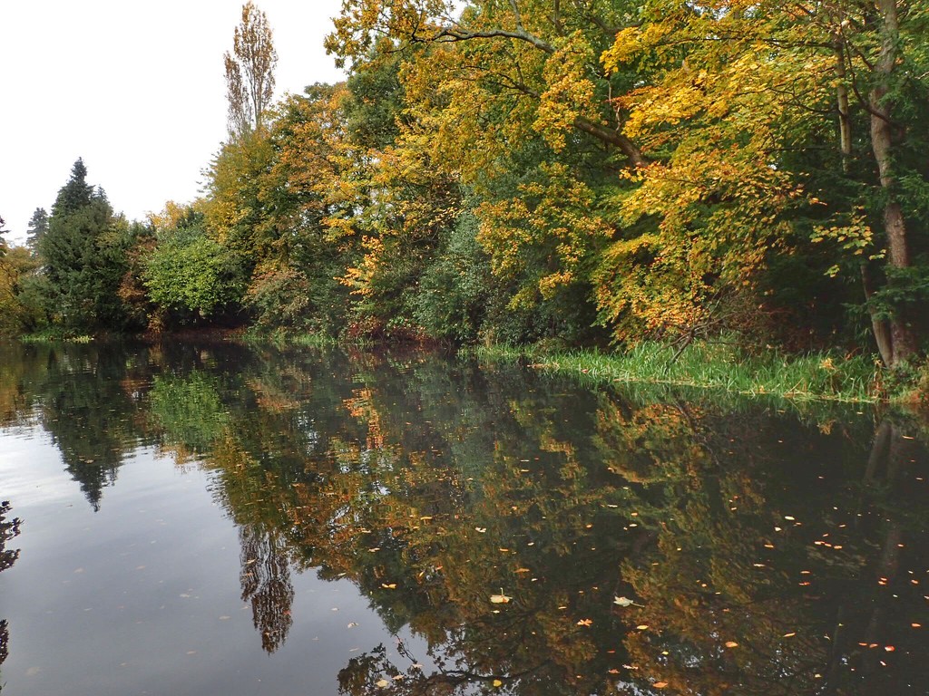 Reflections of Autumn by mattjcuk
