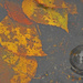 Leaf and Puddles Abstract 7 by helenhall