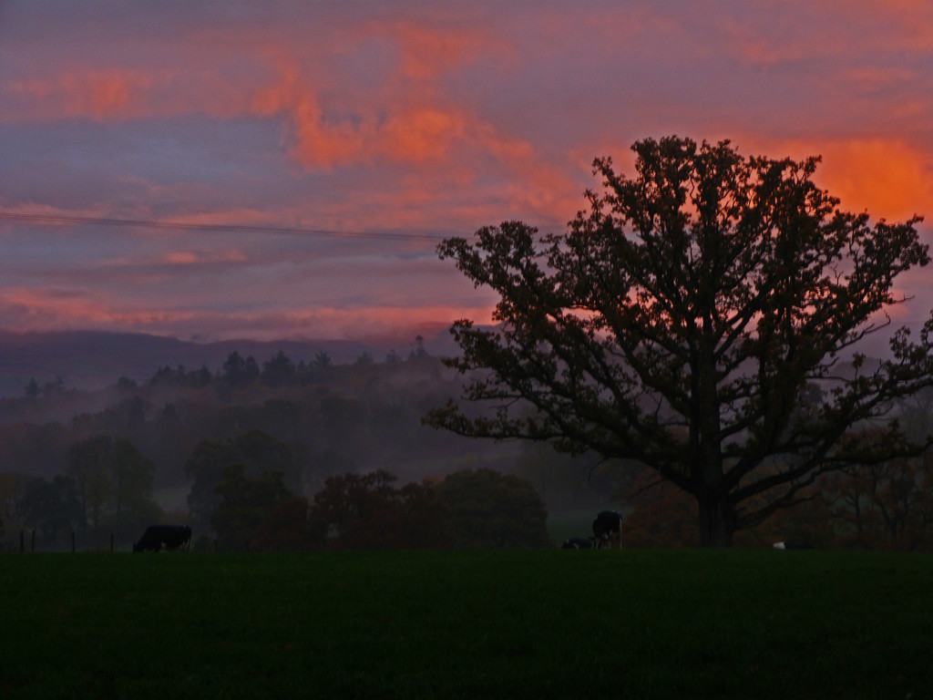 Misty sunset. by shirleybankfarm
