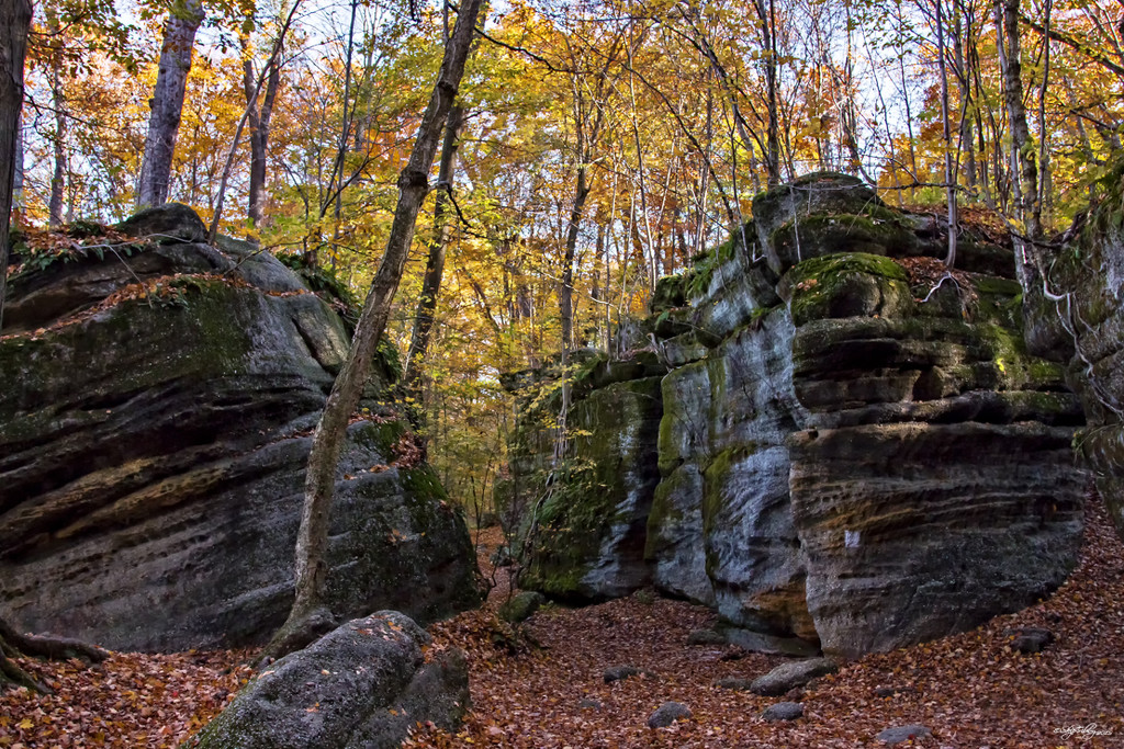 Nelson-Kennedy Ledges  by skipt07