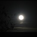 Arrived home to a full moon rising. by jokristina