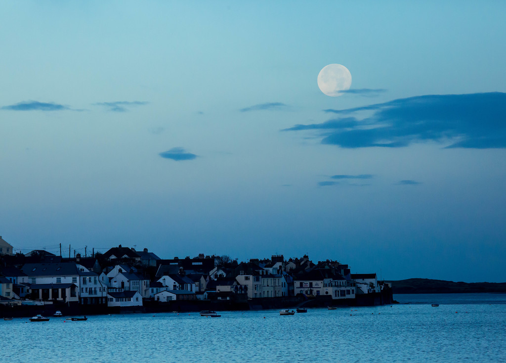 28th October 2015     - Blue Moon in the Morning by pamknowler