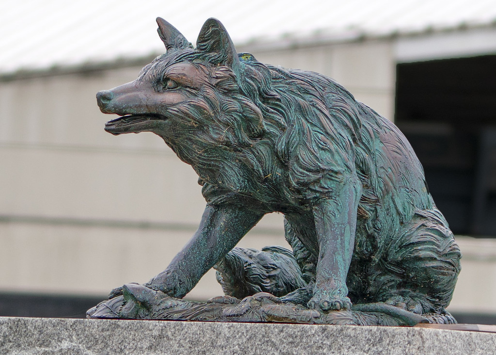 Fox Statue by rminer