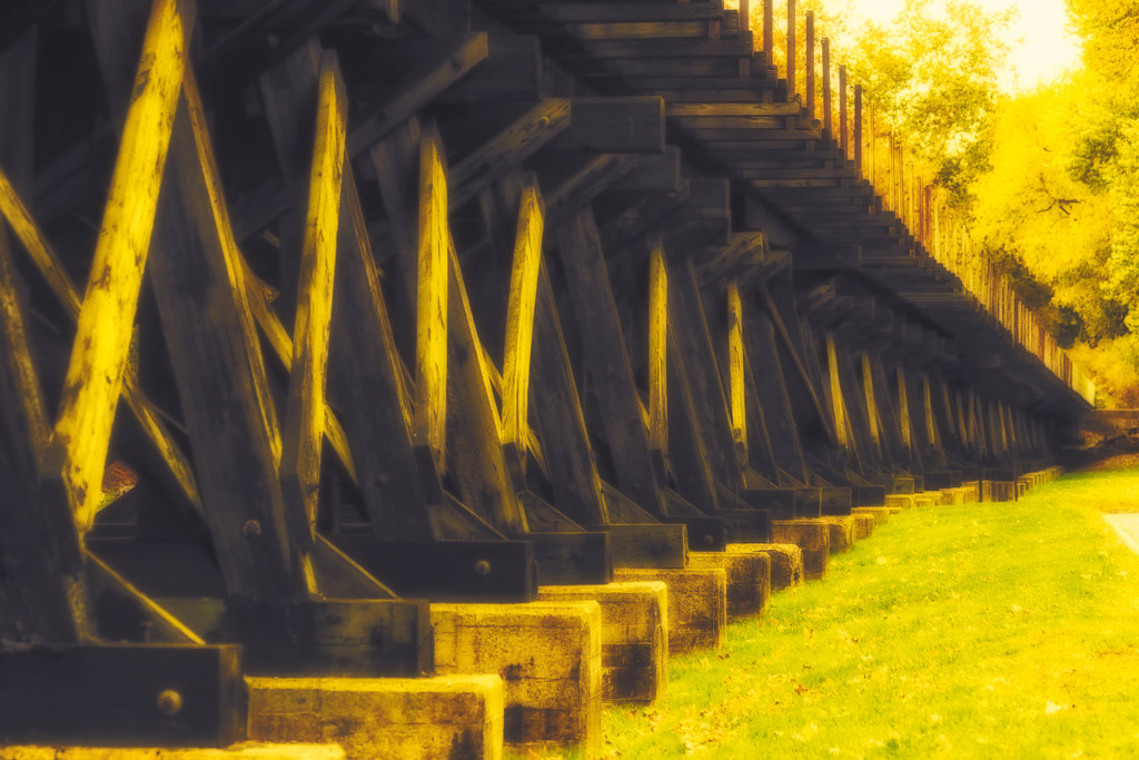 Yellow trestles by shesnapped